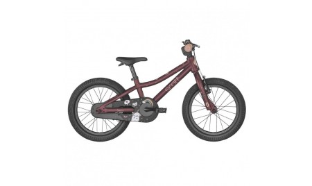 SCOTT CONTESSA 16