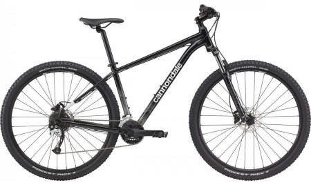 Trail 7 Guinness Black