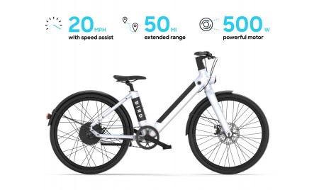 BIRD BIKE V FRAME (EASY ENTRY) 346WH / 36VOLT