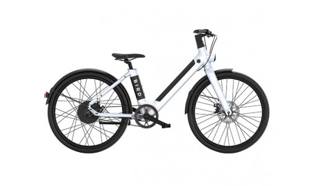 BIRD BIKE V FRAME (EASY ENTRY) 346WH / 36VOLT