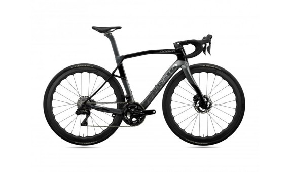 DOGMA X Disc CE202 D.Ai22 db grt4540