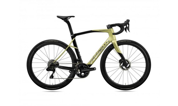 FRAME KIT X9 Disc XPEED GOLD