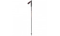 SCOTT TRAIL CARBON RUNNING POLE