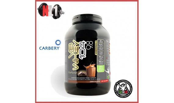 VB WHEY 104 9.8 NOCCIOLA [900gr]