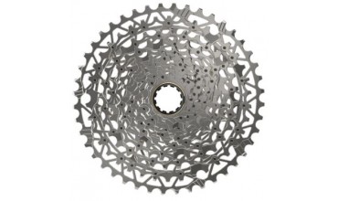 Pacco pignoni XG-1251 XDR 12-v.