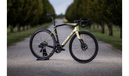 FRAME KIT X9 Disc XPEED GOLD