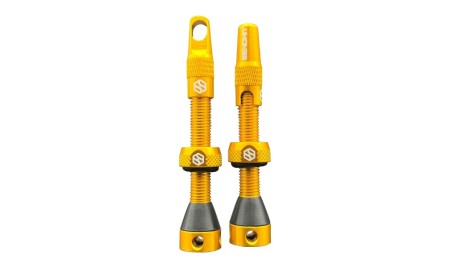 Valvole Tubeless 44mm Oro - Compatibile con inserti