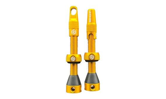Valvole Tubeless 44mm Oro - Compatibile con inserti
