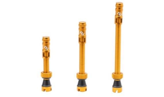 Valvole tubeless SYNCROS GOLD