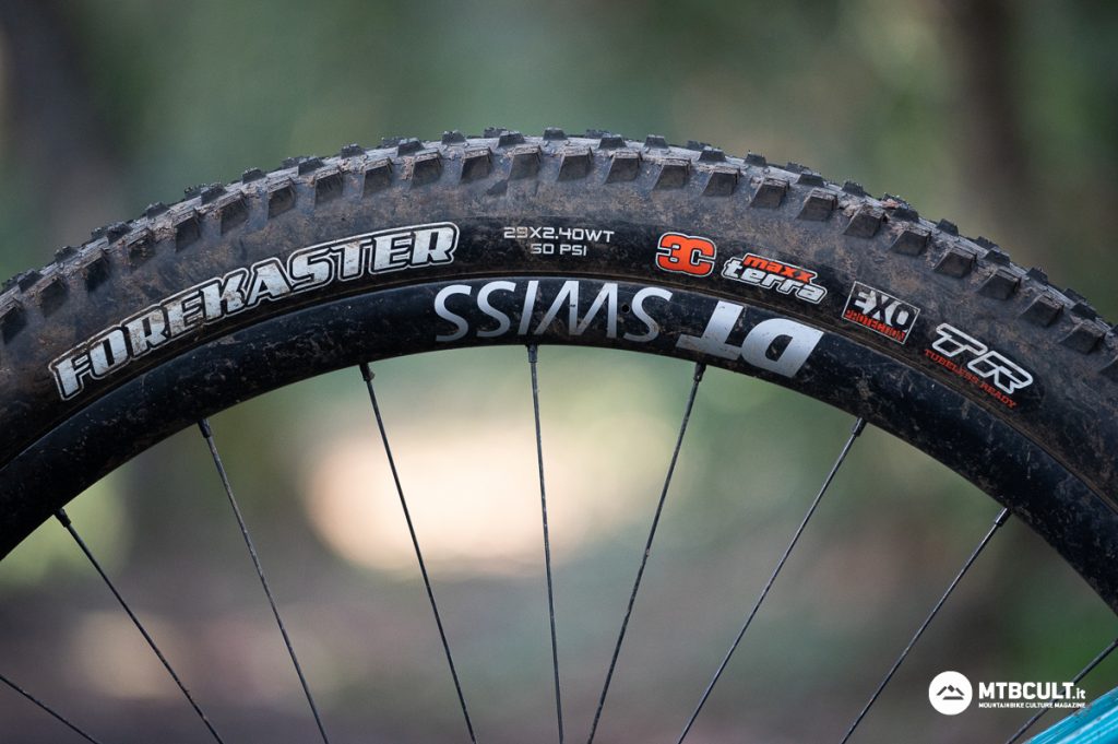 Maxxis Forecaster